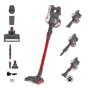 Hoover Staubsauger